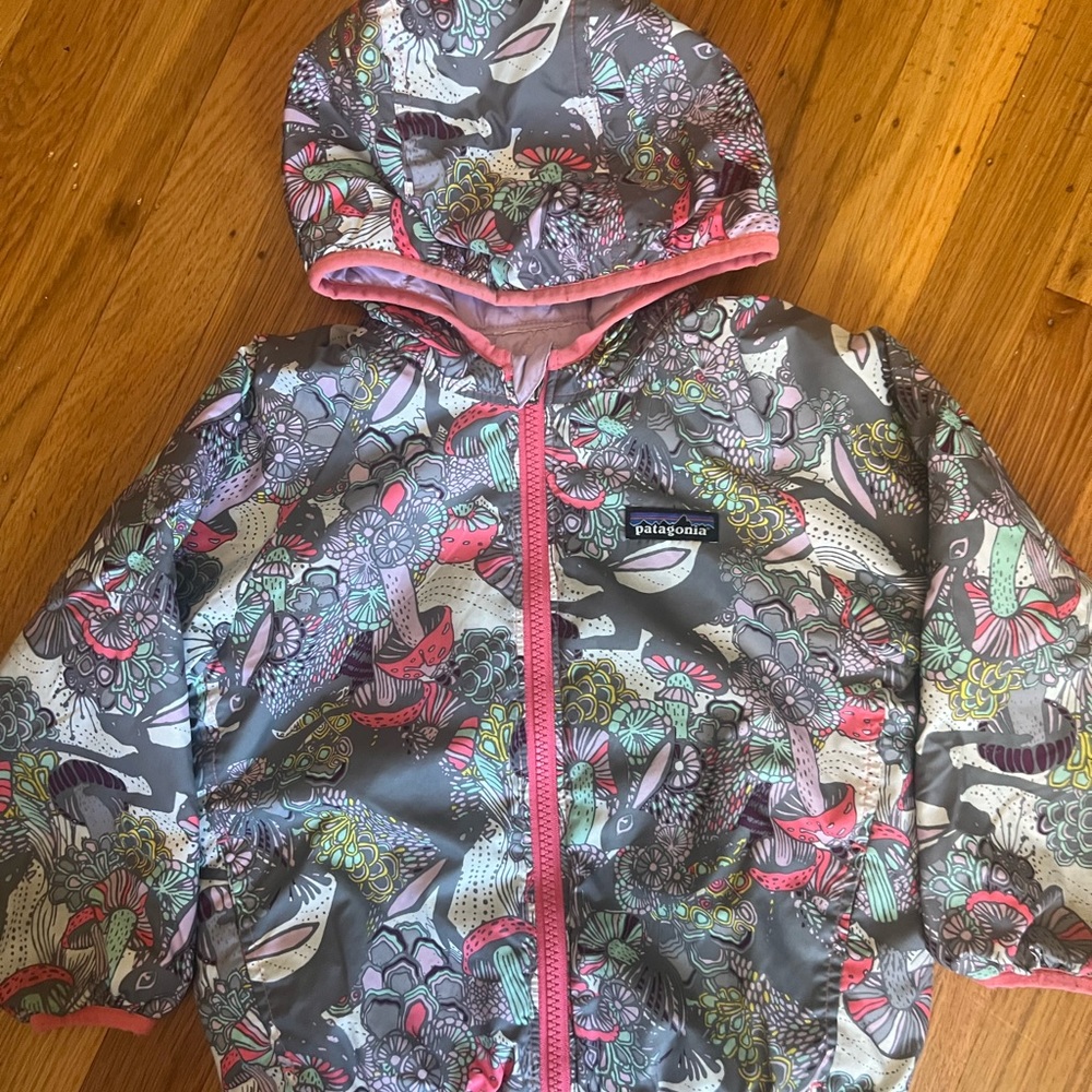 Patagonia Kids Down Jacket